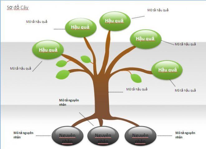 Triển khai các nhánh trên sơ đồ