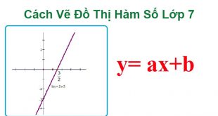 Cách Vẽ Đồ Thị Hàm Số Lớp 7 - Kiến Thức và Bài Tập SGK Có Lời Giải