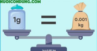 1g Bằng Bao Nhiêu Kg - 1g Bằng Bao Nhiêu mg - Lời Giải Chi Tiết