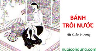 Bài Thơ Bánh Trôi Nước (Hồ Xuân Hương) Lời Thơ và Phân Tích Chi Tiết