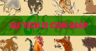 Truyện Truyện Sự Tích 12 Con Giáp - Cuộc Đua Của Các Loại Vật