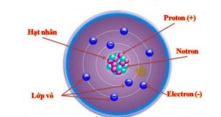 Câu hỏi: Trong nguyên tử hạt mang điện là gì?