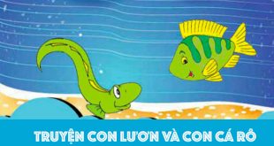 Truyện Con Lươn và Con Cá Rô - Nội Dung và Ý Nghĩa