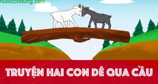 Truyện Hai Con Dê Qua Cầu - Nội Dung và Ý Nghĩa Truyện
