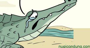 Truyện Nước Mắt Cá Sấu và Ý Nghĩa Câu Nói và Sự Thật Đằng Sau Đó