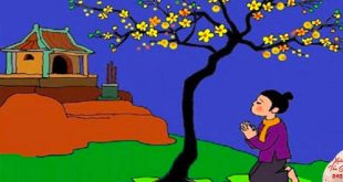 Truyện Sự Tích Hoa Mai -