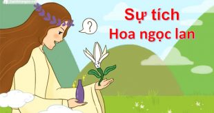 Truyện Sự Tích Hoa Ngọc Lan - Nội Dung Chi Tiết và Ý Nghĩa