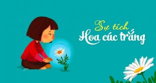 Truyện Bông Hoa Cúc Trắng