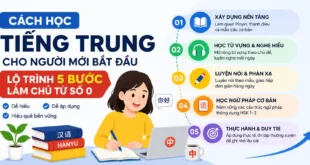 Cách Học Tiếng Trung Cho Người Mới Bắt Đầu: Lộ Trình 5 Bước Làm Chủ Từ Số 0